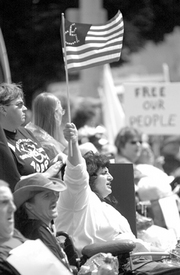 Disability rights and the civil rights revolution