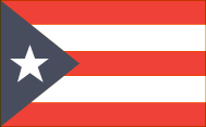UN backs Puerto Ricos right to self determination
