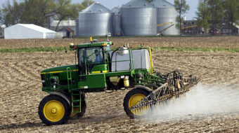 EPA to probe weed-killer’s links to cancer, birth defects