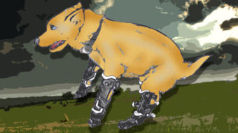 Naki’o: the amazing bionic puppy