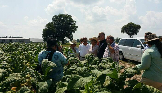 AFL-CIO student interns organize on Tobacco Road