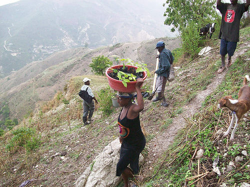 Haiti:  Real development or cheap labor haven?