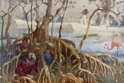 Today in labor and peoples history: Seminole Wars begin