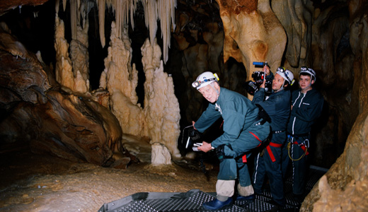 Werner Herzog goes deep in 3-D “Cave of Forgotten Dreams”