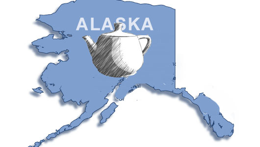 Alaska tea party candidate: a study in contradictions
