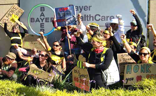 Activists abuzz over Bayer’s bee killing