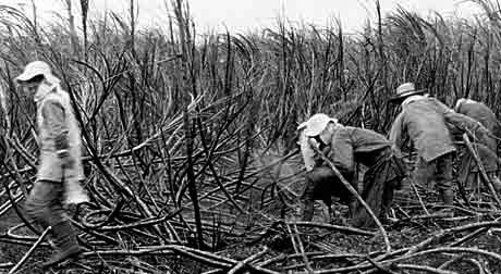 Today in labor history: Hawaiian workers win collective bargaining