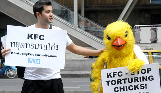 KFC’s tainted legacy of rainforest destruction, animal cruelty