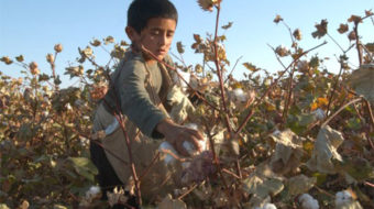 Unions take aim at child labor, trafficking