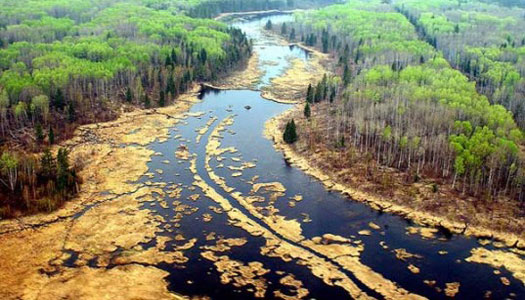 Alberta oil leak into week 10 – can it be stopped?