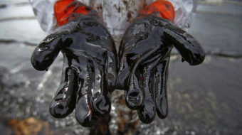 Koch-owned pipeline spews oil in Texas
