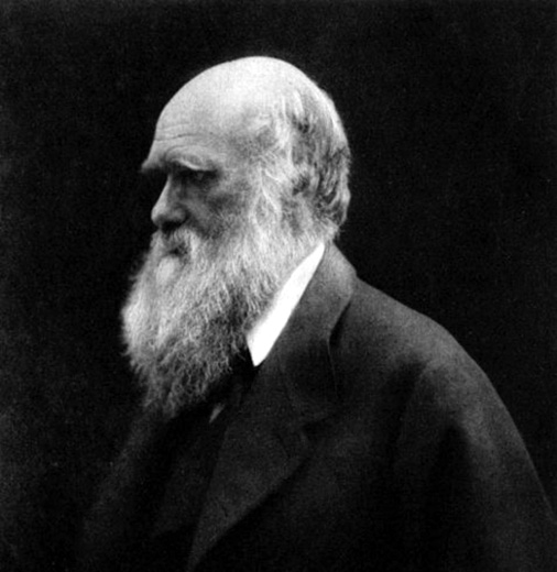 Today in labor history: Atheists and religious alike celebrate “Darwin Day”