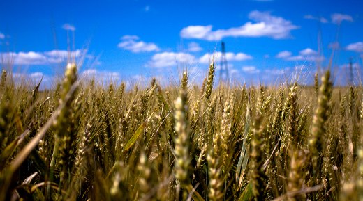 “Long time coming”: Congress OKs compensation for Black farmers, Native Americans