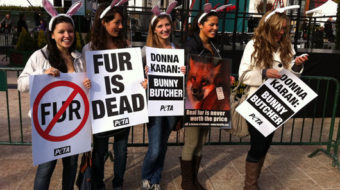West Hollywood becomes first U.S. city to ban sale of fur
