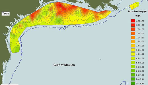 Gulf of Mexico dead zones are part of climate disaster web