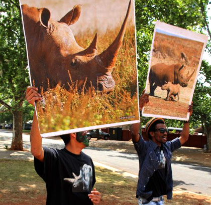 Rare rhino death as poaching worsens