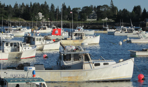 Union flags fly along the Maine coast