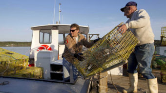 Maine lobstermen stop work