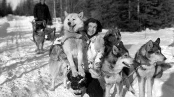 Today in women’s history: Mary Joyce ends thousand-mile sled dog trip