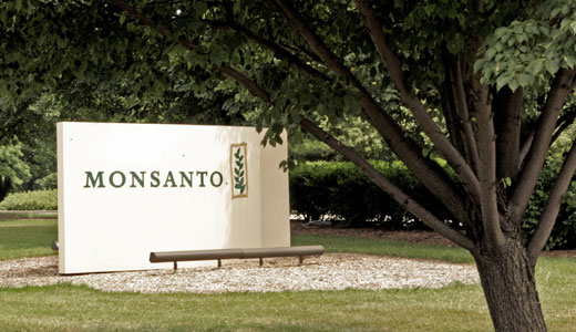 Judge scraps farmers’ case against Monsanto