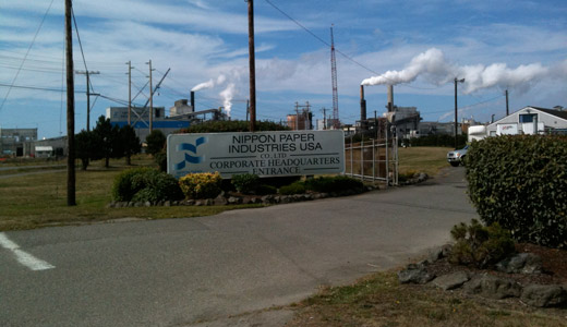 Mill owner cheats on jobs, wages in biomass project