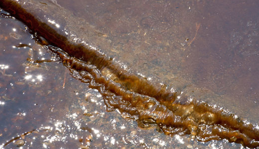 Oil spill on Ohio River