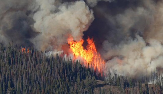 Wildfires grow while budget to fight them is depleted