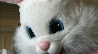 Look for the Union Bunny