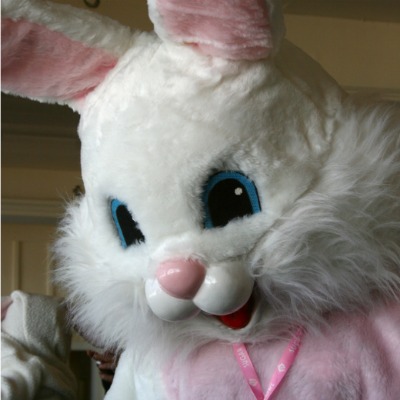 Look for the Union Bunny