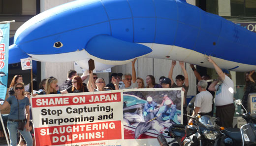 Dolphin slaughter stirs up wave of outrage