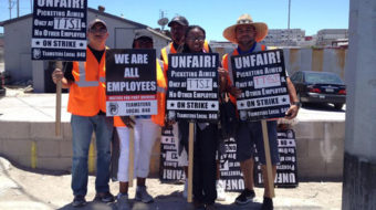 Port truck drivers walk off the job in LA and Long Beach