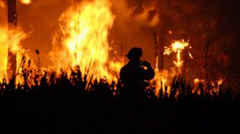 2012 hottest U.S. year ever, warming and wildfires continue