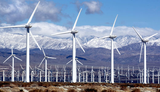 Wind farm impact on wildlife debated