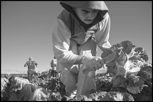 Jewish and African-American orgs join fight for California farmworkers