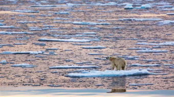 Arctic temperatures soar as sea ice shrinks