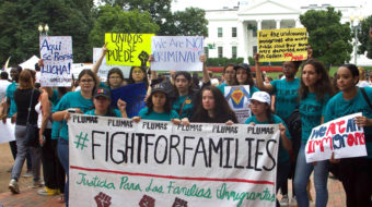 Dreamers and allies fight on after Trump lowers boom