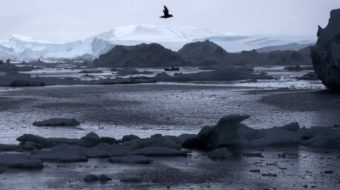 What’s behind Greenland’s black snow?