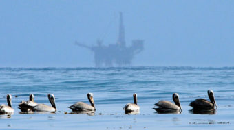 California offshore oil firms rack up nearly 400 violations