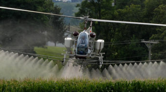 Farmworkers say new Oregon pesticide standards only benefit growers