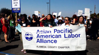 Labor group says Asian-Americans can help flip red districts