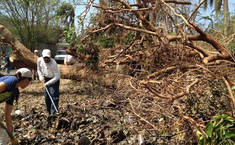 Puerto Rico planting 750,000 trees to defend land from natural disasters