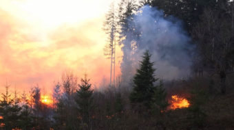 Early season wildfire threatens homes, buildings in Oregon