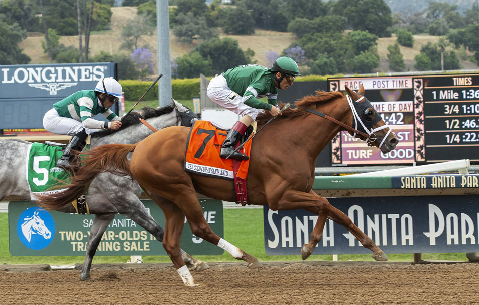 Santa Anita checking if rules followed before horse’s death