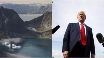 Trump proposes buying Greenland