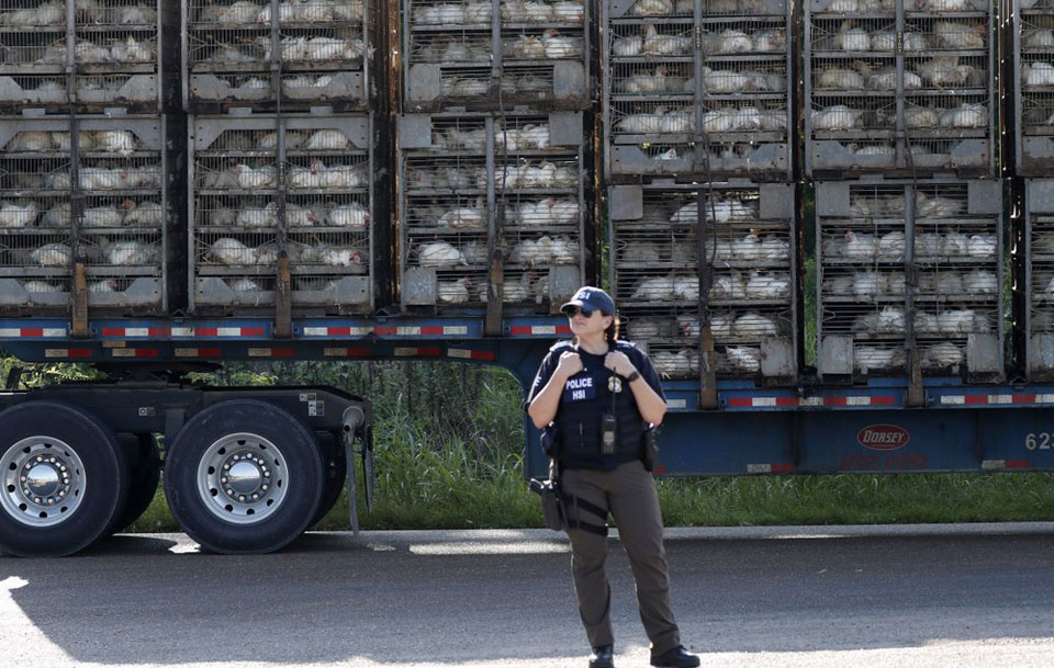 Poultry towns devastated as workers and students disappear after ICE raids