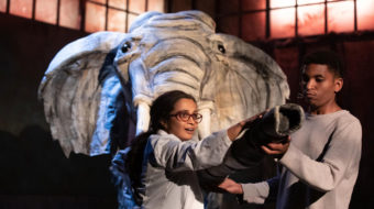 Pachyderm puppetry and human folly in ‘Miss Lilly Gets Boned’