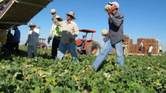 Union, advocates, growers, reps agree on residence requirements for undocumented farmworkers