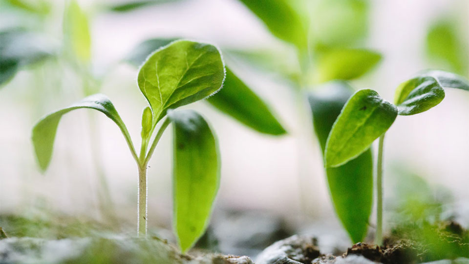 Farmers say fight climate change by investing in sustainable family agriculture