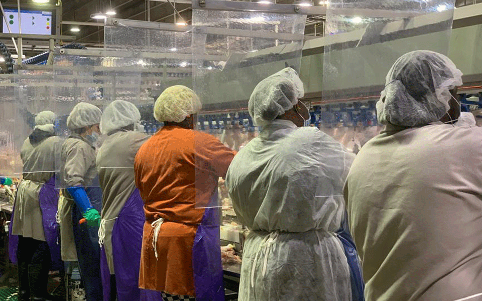Appelbaum: Poultry plant workers ‘are not expendable’ in coronavirus pandemic