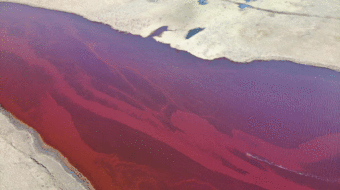 Disastrous oil spill ravages pristine Arctic lake